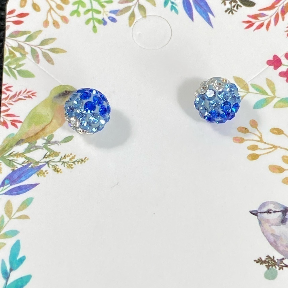#16 Earrings